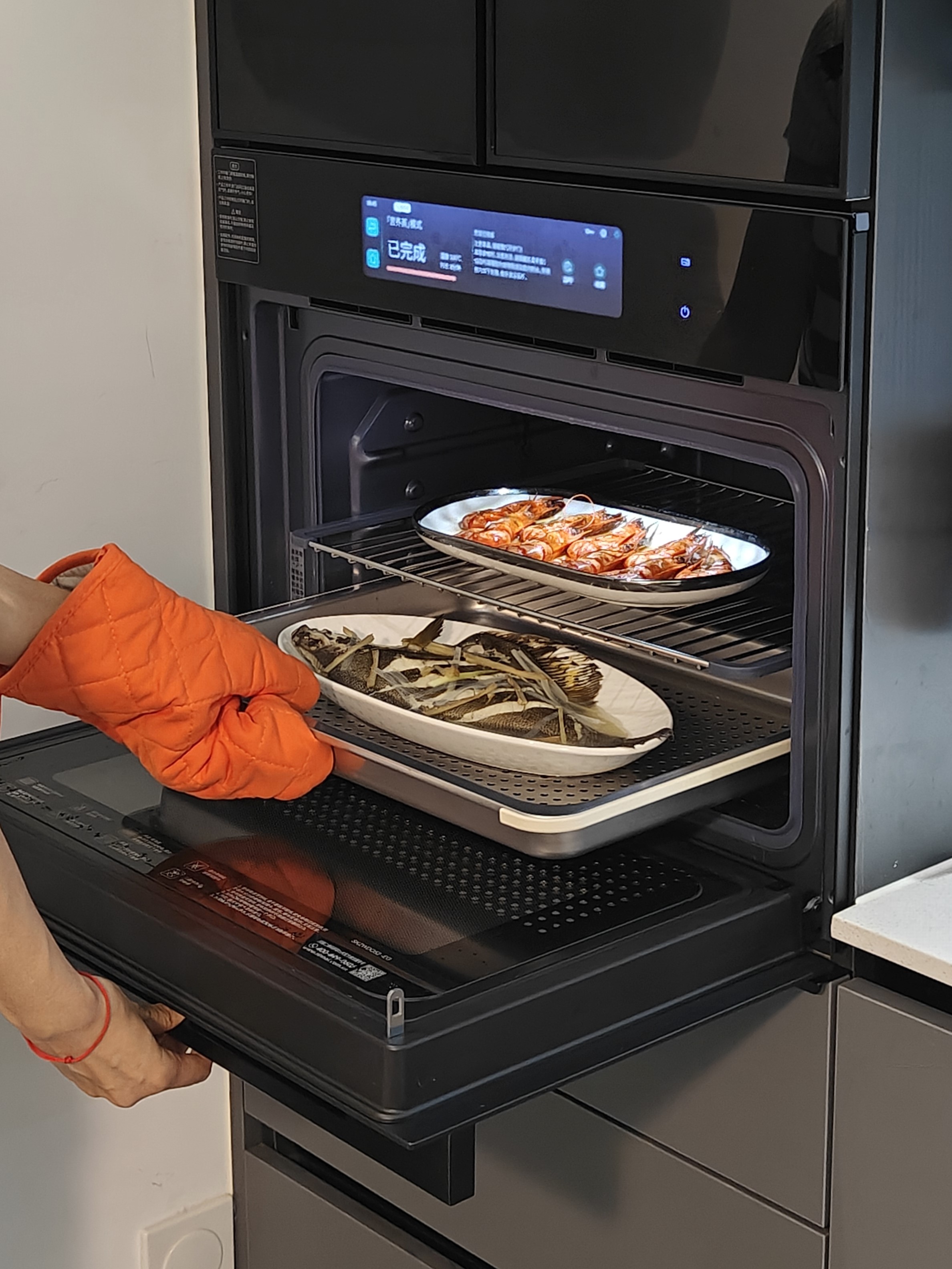 IMG_20240918_170103.jpg IMG_20240918_170103.jpg